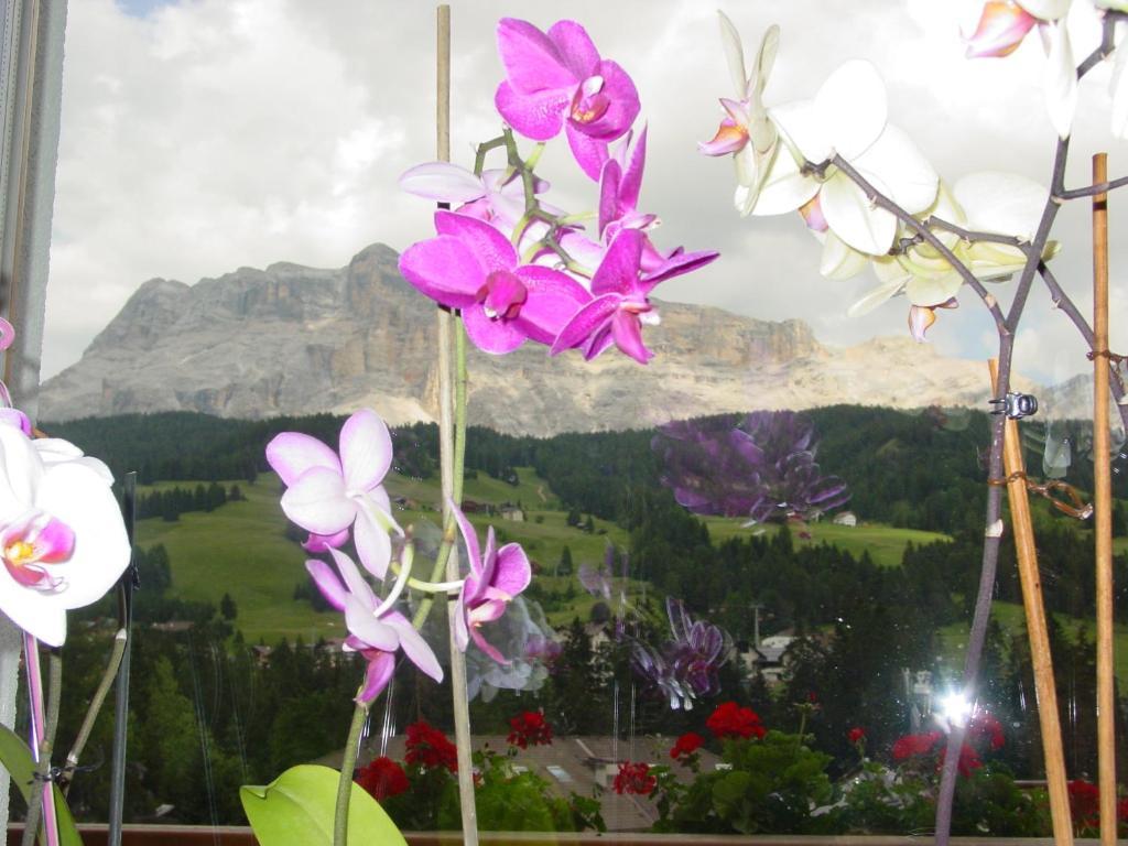 Ciasa Rudiferia Appartamenti In Alta Badia Extérieur photo