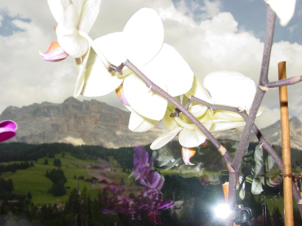 Ciasa Rudiferia Appartamenti In Alta Badia Extérieur photo