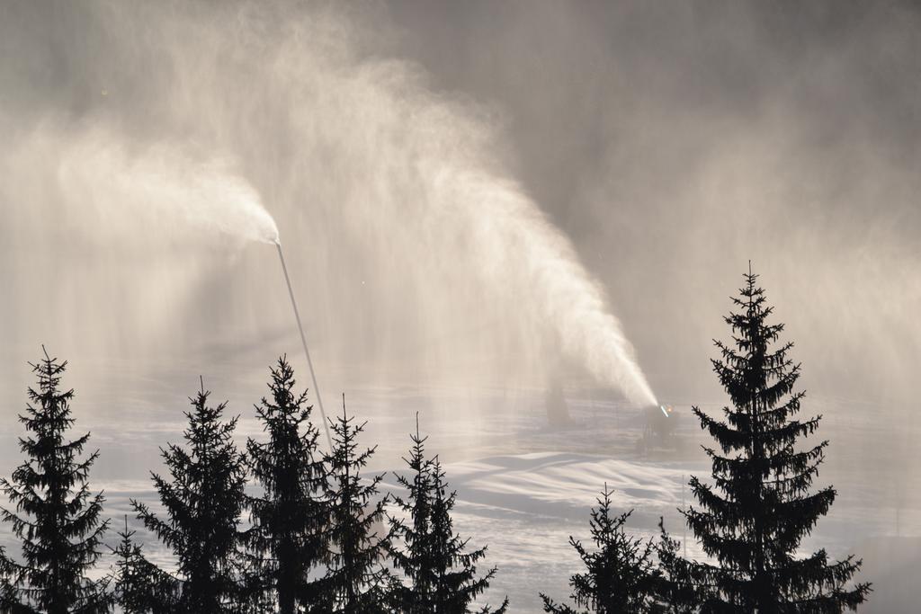 Ciasa Rudiferia Appartamenti In Alta Badia Extérieur photo